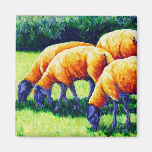 Flamin' Sheep - Sheep Magnet マグネット (正面)