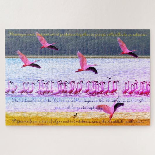 Flamingoおもしろい20"x30" - 1,014ピース ジグソーパズル (横)