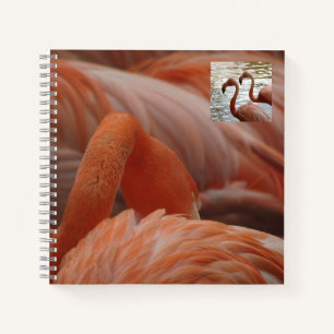 Flamingoクローズアップノートブック ノートブック