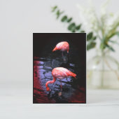 FLAMINGOコピー ポストカード (スタンド正面)
