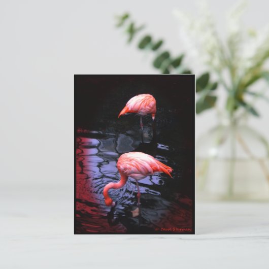 FLAMINGOコピー ポストカード (スタンド正面)