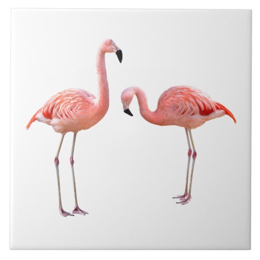 “flamingo”の優良製品 タイル (正面)