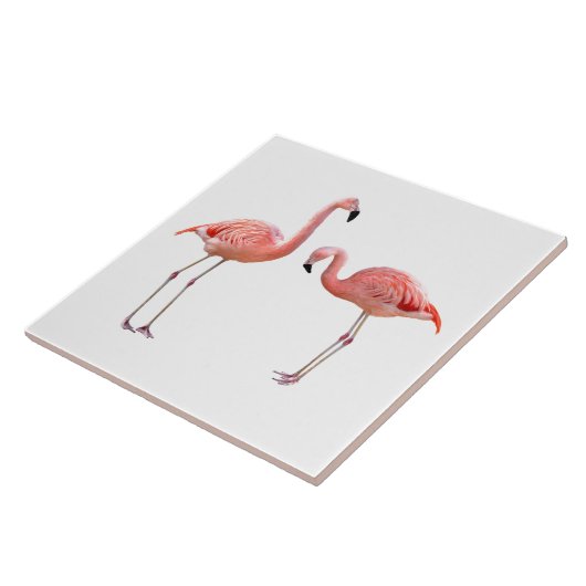 “flamingo”の優良製品 タイル (側面)