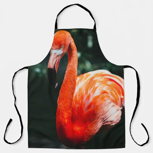 FLAMINGO エプロン (正面)