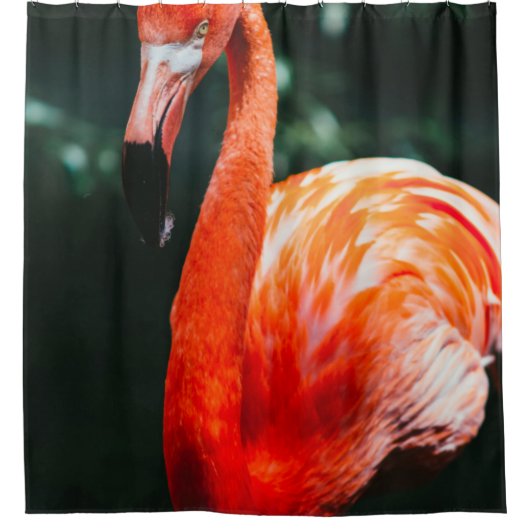 FLAMINGO シャワーカーテン (正面)