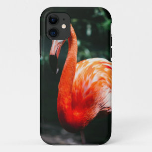 Flamingo iPhone 11 ケース