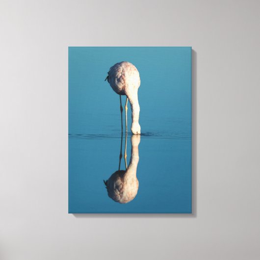 Flamingo Reflection, Laguna Chaxa, Atacama キャンバスプリント (正面)