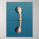 Flamingo Reflection, Laguna Chaxa, Atacama ポスター (正面)