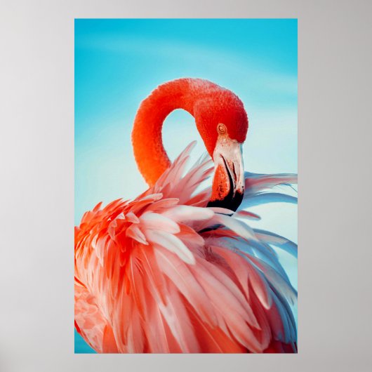 Flamingo wall art ポスター (正面)