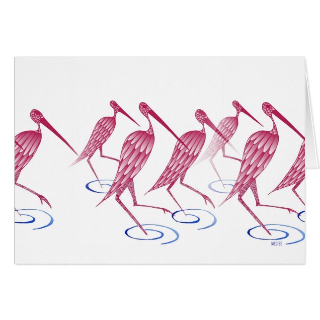 Flamingos (正面横)