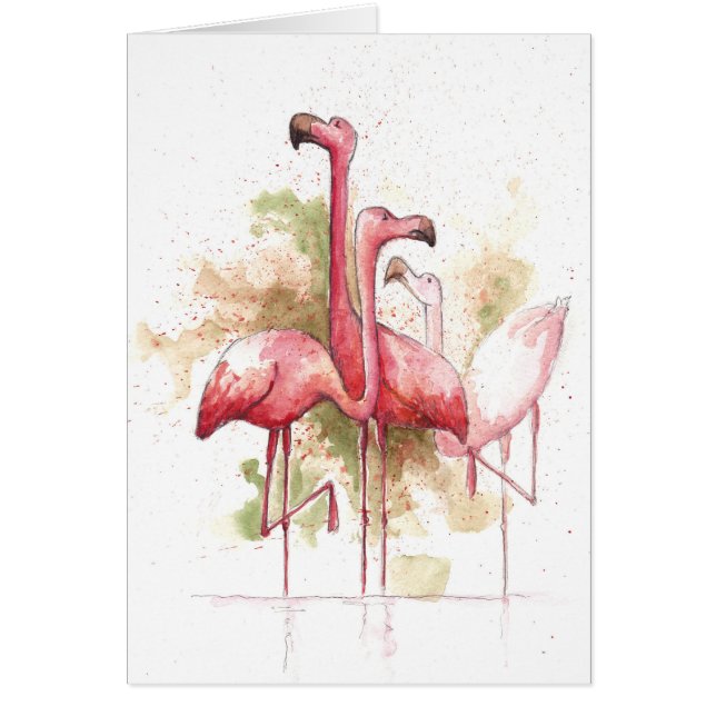 Flamingos (正面)