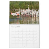 Flamingos 12 month calendar カレンダー (2月 2026)