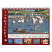 Flamingos 12 month calendar カレンダー (カバー)