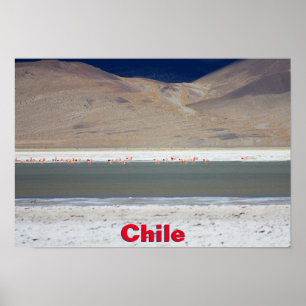 Flamingos at Salar del Huasco,チリ ポスター