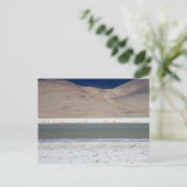 Flamingos at Salar del Huasco,チリ ポストカード (スタンド正面)