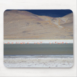 Flamingos at Salar del Huasco，チリ マウスパッド