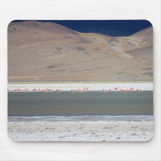 Flamingos at Salar del Huasco,チリ マウスパッド (正面)