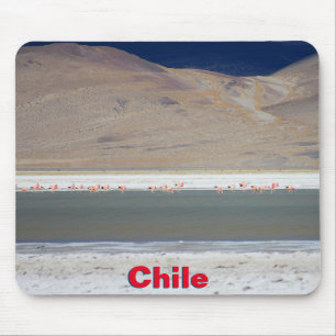 Flamingos at Salar del Huasco,チリ マウスパッド