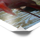 Flamingos at the Water by Linda Becker フォトプリント (角)