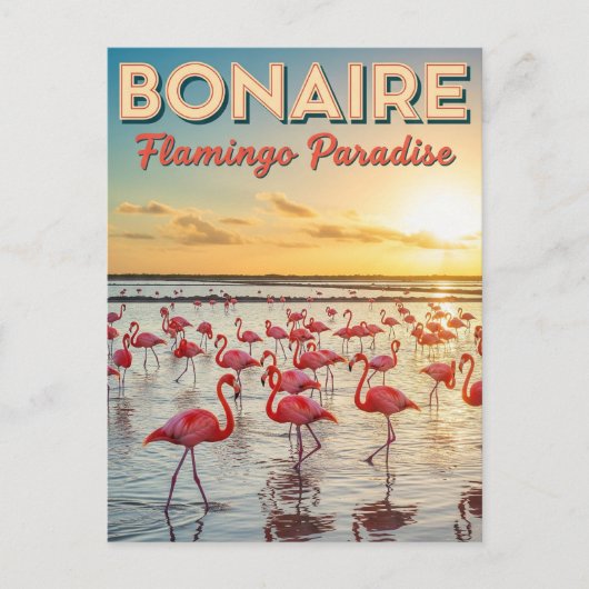 Flamingos in Bonaire Dutch Caribbean ポストカード (正面)