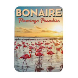 Flamingos in Bonaire Dutch Caribbean マグネット