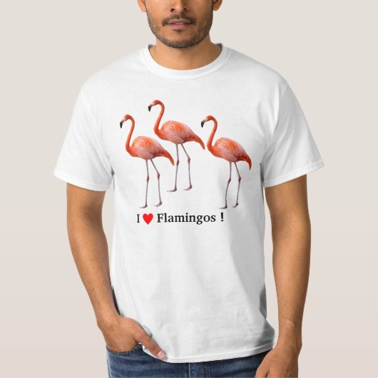 flamingos tシャツ (正面)