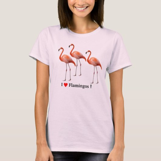 flamingos tシャツ (正面)