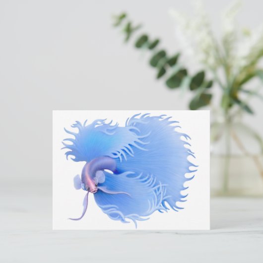 Flaring Betta Splendensはがき ポストカード (スタンド正面)