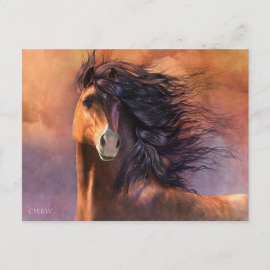 Flashポストカード ポストカード (正面)