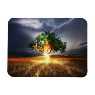 flash-845848ファンタジー稲妻STRIKE TREE BACKGRO マグネット