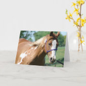 Flashy on the Lungeline カード (黄色い花)