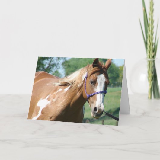 Flashy on the Lungeline カード (正面)