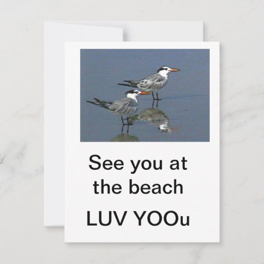 Flat Card See you at the beach jGibney The Museum (正面)