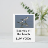 Flat Card See you at the beach jGibney The Museum (スタンド正面)