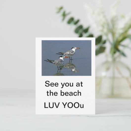 Flat Card See you at the beach jGibney The Museum (スタンド正面)