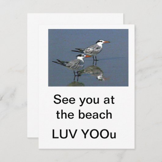 Flat Card See you at the beach jGibney The Museum (正面/裏面)