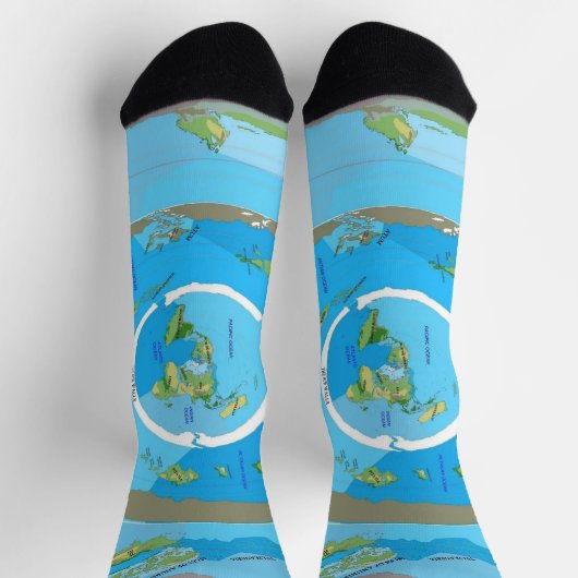Flat Earth Map Socks - Unique Geographical Design ソックス (上部)