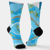 Flat Earth Map Socks - Unique Geographical Design ソックス (傾斜あり)