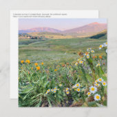 Flat Holiday Card シーズンカード (正面/裏面)