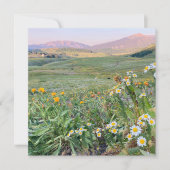 Flat Holiday Card シーズンカード (正面)