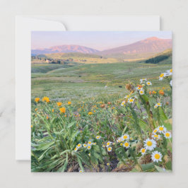 Flat Holiday Card シーズンカード