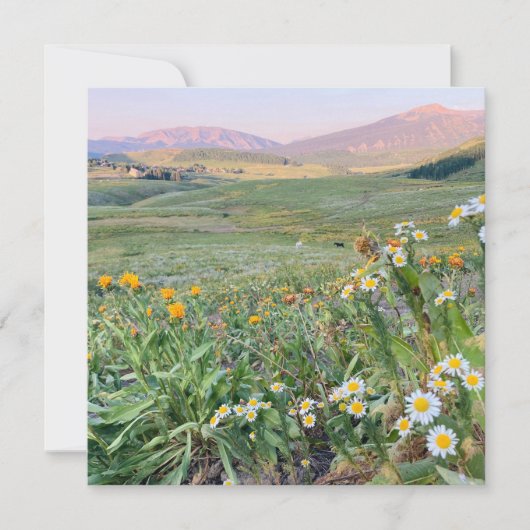 Flat Holiday Card シーズンカード (正面)