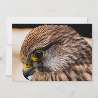 Flat Thank You Card サンキューカード