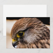 Flat Thank You Card サンキューカード (正面/裏面)