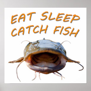 Flathead Catfish ポスター