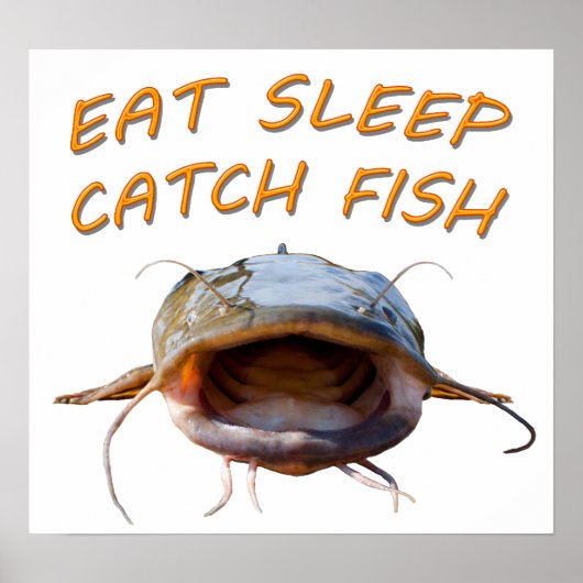 Flathead Catfish ポスター (正面)