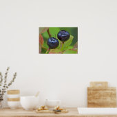 Flathead National 2の熟したハックルベリー ポスター (キッチン)