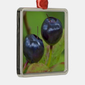 Flathead National 2の熟したハックルベリー メタルオーナメント (右)