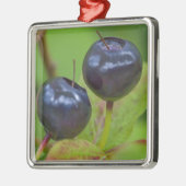 Flathead National 2の熟したハックルベリー メタルオーナメント (左)