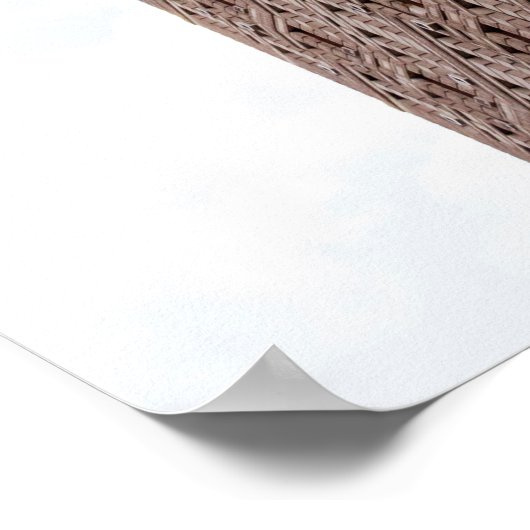 Flatiron building  ポスター (角)